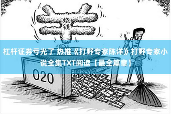 杠杆证券亏光了 热推《打野专家陈洋》打野专家小说全集TXT阅读【最全篇章】