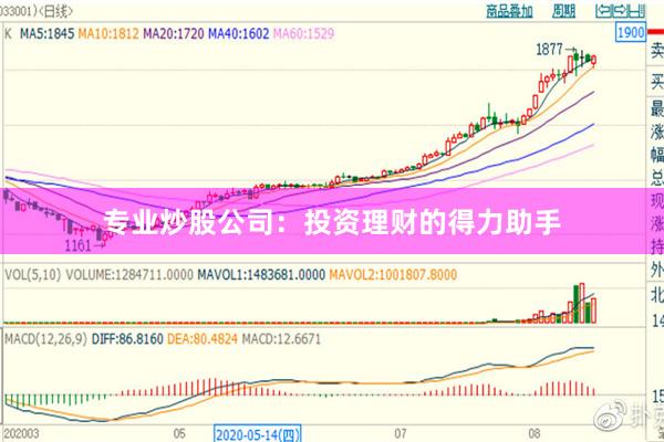 专业炒股公司：投资理财的得力助手