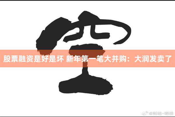 股票融资是好是坏 新年第一笔大并购：大润发卖了