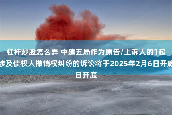 杠杆炒股怎么弄 中建五局作为原告/上诉人的1起涉及债权人撤销权纠纷的诉讼将于2025年2月6日开庭