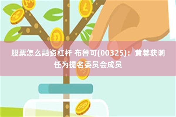 股票怎么融资杠杆 布鲁可(00325)：黄蓉获调任为提名委员会成员