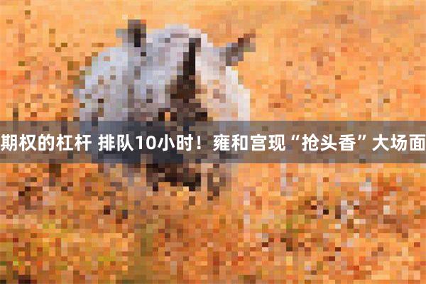 期权的杠杆 排队10小时！雍和宫现“抢头香”大场面