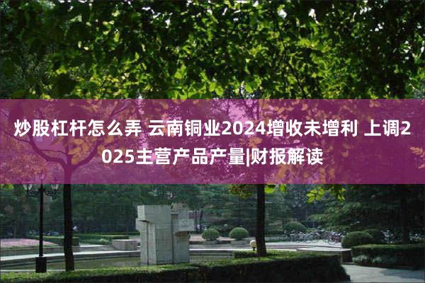 炒股杠杆怎么弄 云南铜业2024增收未增利 上调2025主营产品产量|财报解读