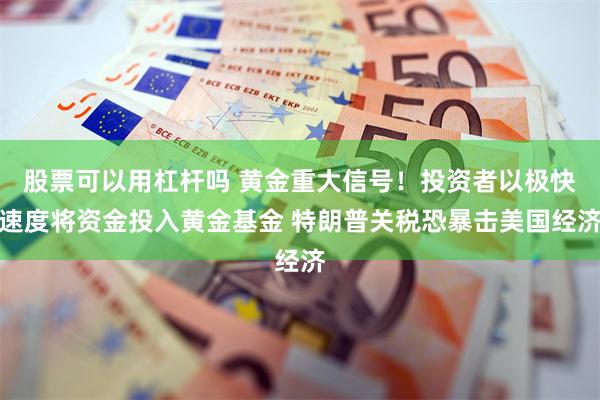 股票可以用杠杆吗 黄金重大信号！投资者以极快速度将资金投入黄金基金 特朗普关税恐暴击美国经济