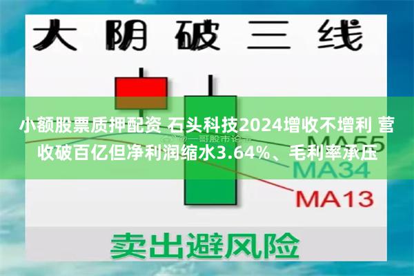 小额股票质押配资 石头科技2024增收不增利 营收破百亿但净利润缩水3.64%、毛利率承压