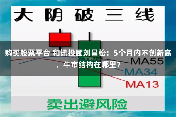 购买股票平台 和讯投顾刘昌松：5个月内不创新高，牛市结构在哪里？