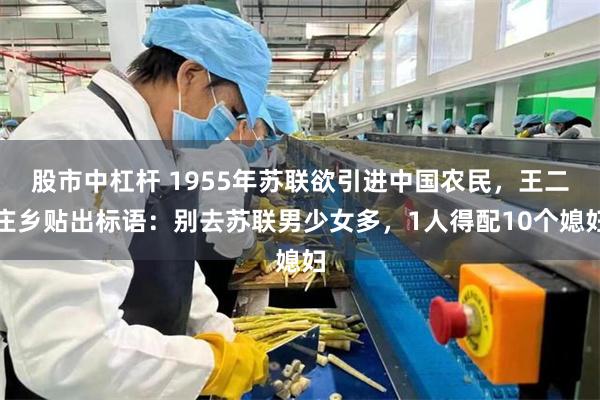 股市中杠杆 1955年苏联欲引进中国农民，王二庄乡贴出标语：别去苏联男少女多，1人得配10个媳妇