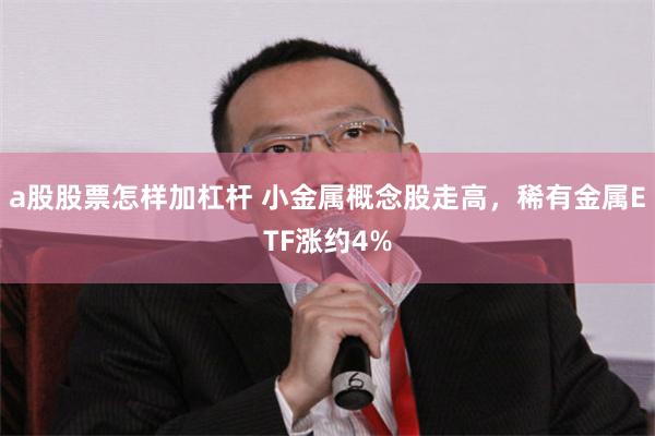 a股股票怎样加杠杆 小金属概念股走高，稀有金属ETF涨约4%