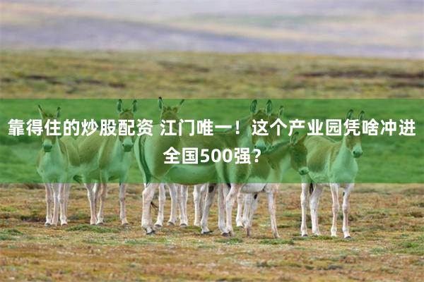 靠得住的炒股配资 江门唯一！这个产业园凭啥冲进全国500强？