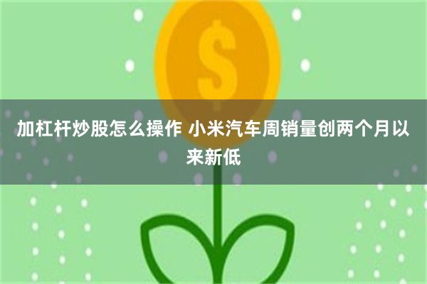 加杠杆炒股怎么操作 小米汽车周销量创两个月以来新低
