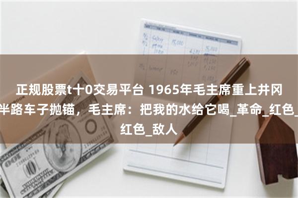 正规股票t十0交易平台 1965年毛主席重上井冈山，半路车子抛锚，毛主席：把我的水给它喝_革命_红色_敌人