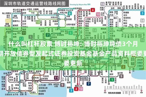 什么叫杠杆股票 博时裕坤: 博时裕坤纯债3个月定期开放债券型发起式证券投资基金基金产品资料概要更新