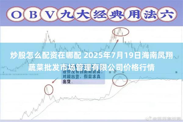 炒股怎么配资在哪配 2025年7月19日海南凤翔蔬菜批发市场管理有限公司价格行情