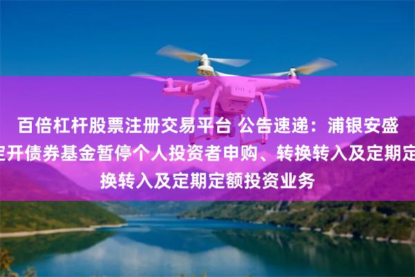 百倍杠杆股票注册交易平台 公告速递：浦银安盛普航3个月定开债券基金暂停个人投资者申购、转换转入及定期定额投资业务