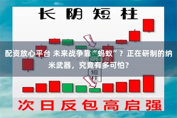 配资放心平台 未来战争靠“蚂蚁”？正在研制的纳米武器，究竟有多可怕？