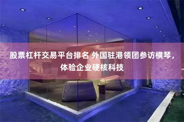 股票杠杆交易平台排名 外国驻港领团参访横琴，体验企业硬核科技