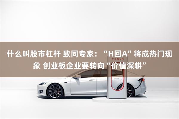 什么叫股市杠杆 致同专家：“H回A”将成热门现象 创业板企业要转向“价值深耕”