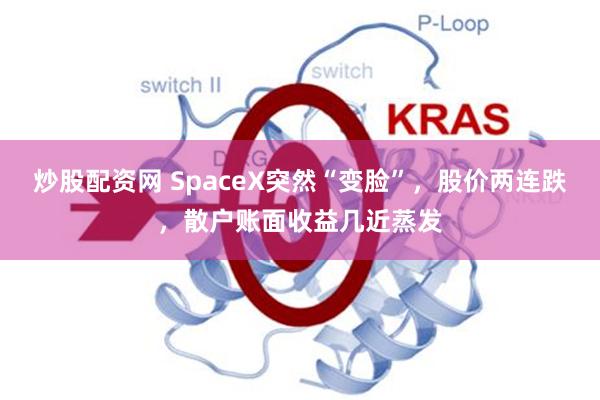炒股配资网 SpaceX突然“变脸”，股价两连跌，散户账面收益几近蒸发