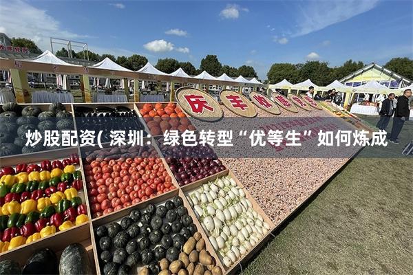 炒股配资( 深圳：绿色转型“优等生”如何炼成