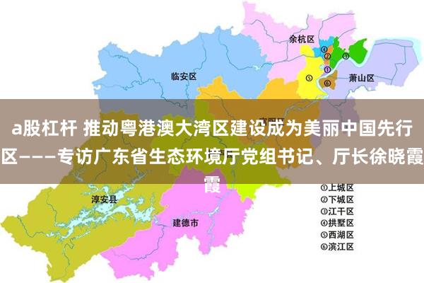a股杠杆 推动粤港澳大湾区建设成为美丽中国先行区———专访广东省生态环境厅党组书记、厅长徐晓霞