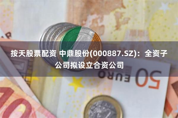 按天股票配资 中鼎股份(000887.SZ)：全资子公司拟设立合资公司