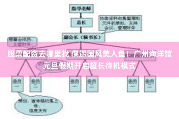 股票配资去哪里找 偶遇国风美人鱼！广州海洋馆元旦假期开启超长待机模式
