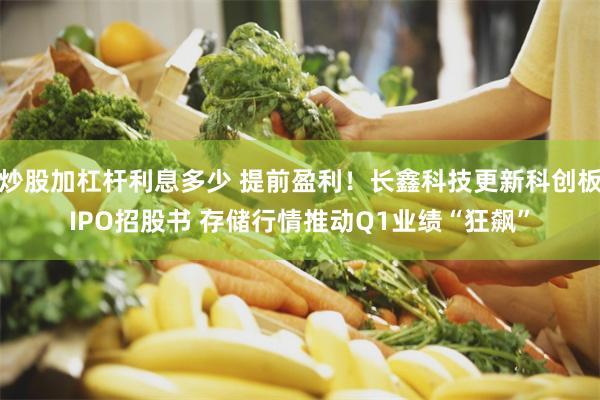炒股加杠杆利息多少 提前盈利！长鑫科技更新科创板IPO招股书 存储行情推动Q1业绩“狂飙”