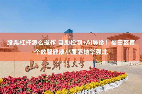 股票杠杆怎么操作 自助检测+AI导诊！福田区首个数智健康小屋落地华强北
