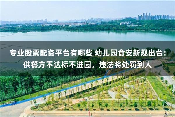 专业股票配资平台有哪些 幼儿园食安新规出台:供餐方不达标不进园,违法将处罚到人
