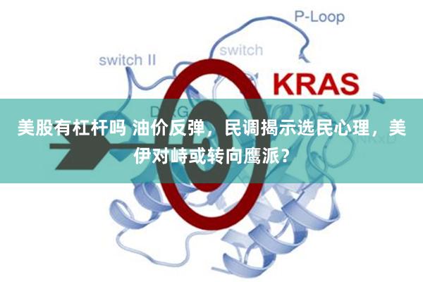 美股有杠杆吗 油价反弹，民调揭示选民心理，美伊对峙或转向鹰派？