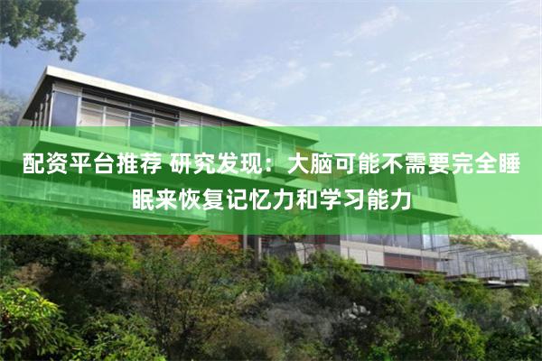 配资平台推荐 研究发现：大脑可能不需要完全睡眠来恢复记忆力和学习能力