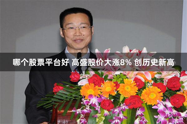 哪个股票平台好 高盛股价大涨8% 创历史新高