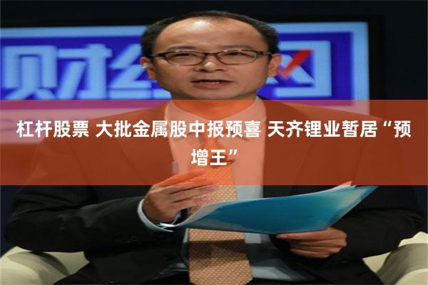 杠杆股票 大批金属股中报预喜 天齐锂业暂居“预增王”