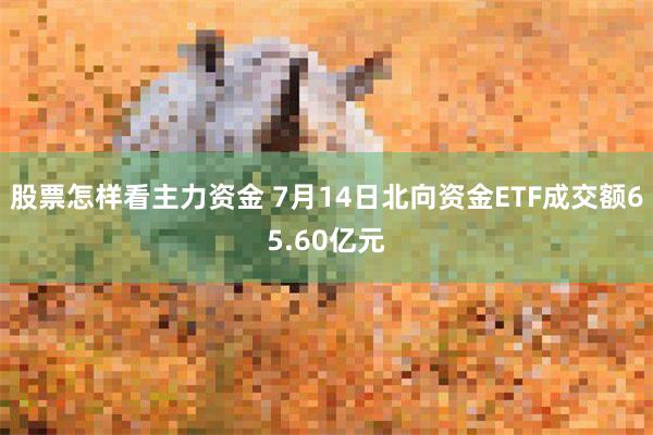 股票怎样看主力资金 7月14日北向资金ETF成交额65.60亿元