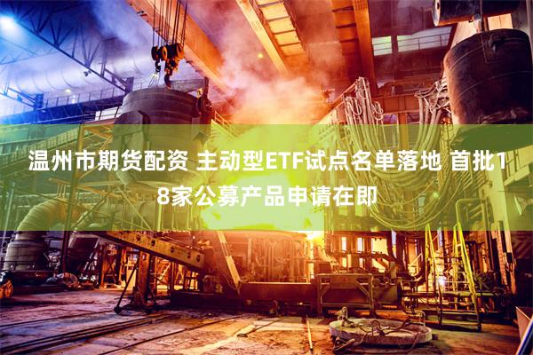 温州市期货配资 主动型ETF试点名单落地 首批18家公募产品申请在即