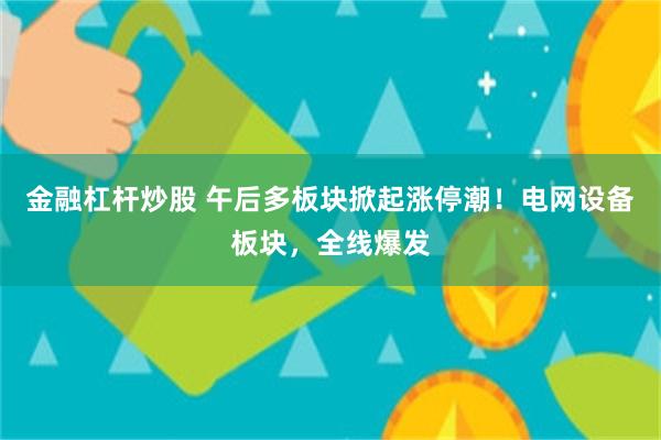 金融杠杆炒股 午后多板块掀起涨停潮！电网设备板块，全线爆发
