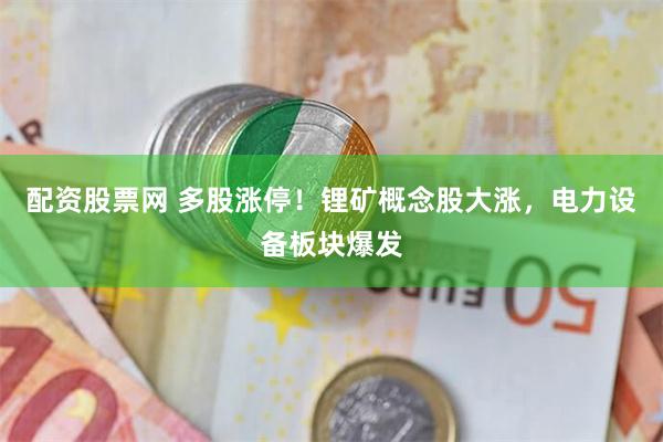配资股票网 多股涨停！锂矿概念股大涨，电力设备板块爆发
