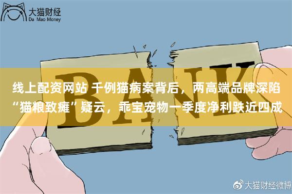 线上配资网站 千例猫病案背后,两高端品牌深陷“猫粮致瘫”疑云,乖宝宠物一季度净利跌近四成