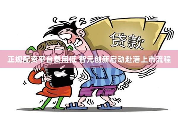 正规配资平台费用低 智元创新启动赴港上市流程