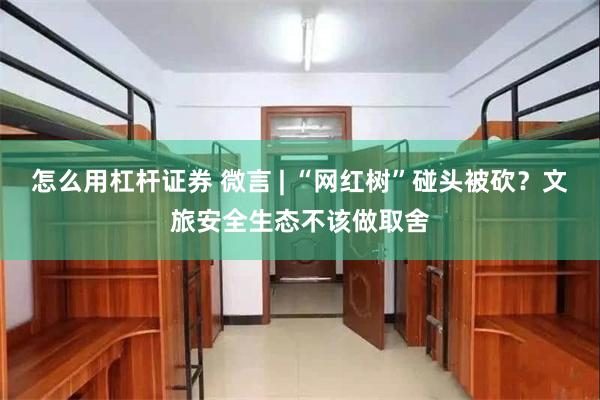 怎么用杠杆证券 微言 | “网红树”碰头被砍？文旅安全生态不该做取舍