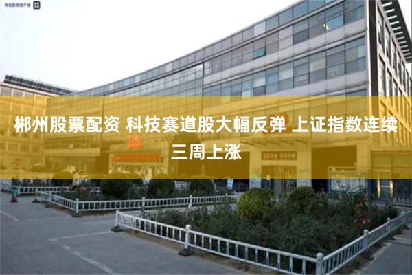 郴州股票配资 科技赛道股大幅反弹 上证指数连续三周上涨