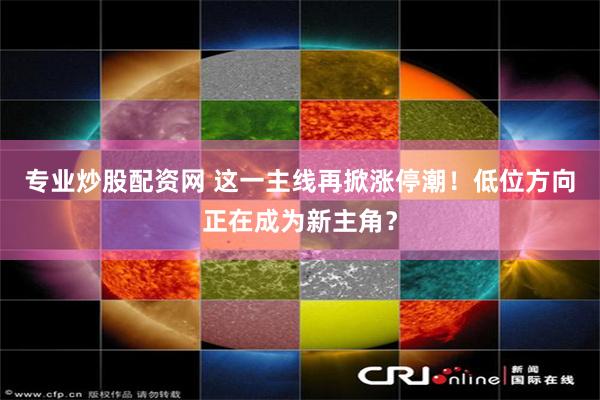 专业炒股配资网 这一主线再掀涨停潮！低位方向正在成为新主角？