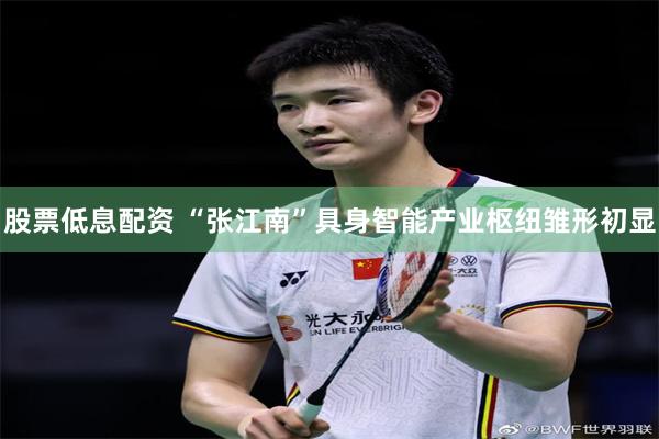 股票低息配资 “张江南”具身智能产业枢纽雏形初显