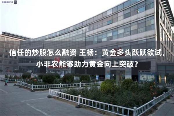 信任的炒股怎么融资 王杨：黄金多头跃跃欲试，小非农能够助力黄金向上突破？