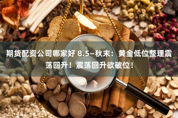 期货配资公司哪家好 8.5—秋末：黄金低位整理震荡回升！震荡回升欲破位！