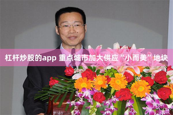 杠杆炒股的app 重点城市加大供应“小而美”地块