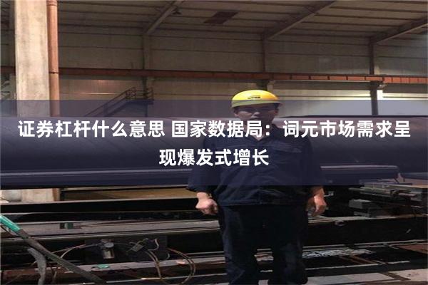 证券杠杆什么意思 国家数据局：词元市场需求呈现爆发式增长