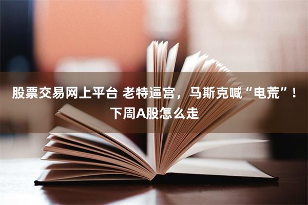 股票交易网上平台 老特逼宫,马斯克喊“电荒”!下周A股怎么走