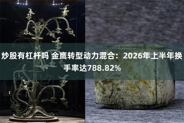 炒股有杠杆吗 金鹰转型动力混合：2026年上半年换手率达788.82%