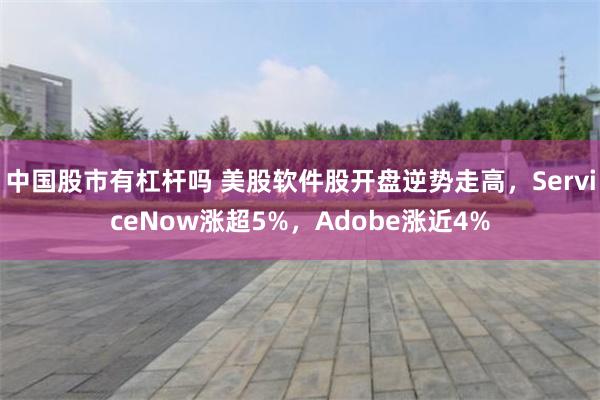 中国股市有杠杆吗 美股软件股开盘逆势走高，ServiceNow涨超5%，Adobe涨近4%